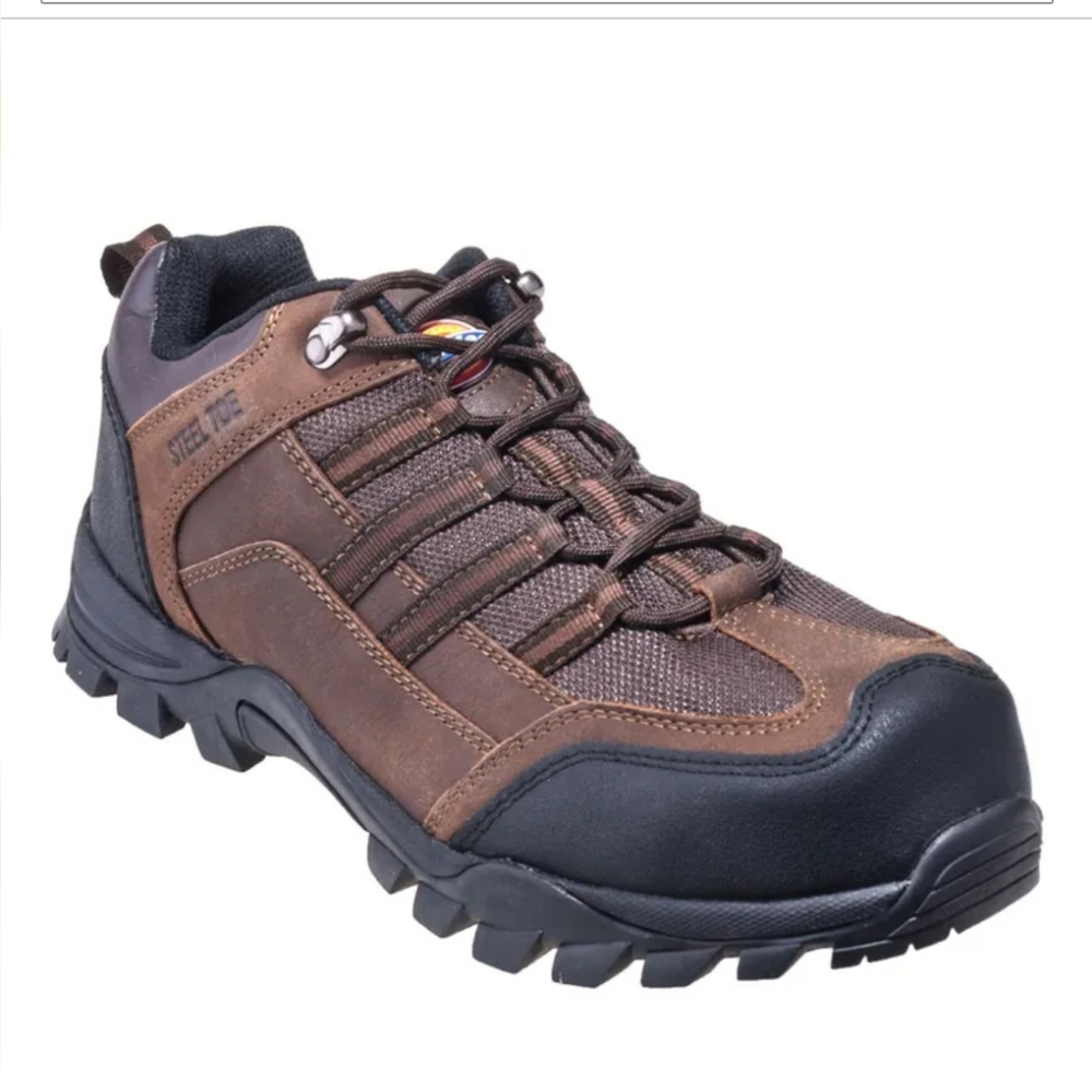 NWOT Dickies Men's Brown Rally Steel Toe EH Shoes, Size 10